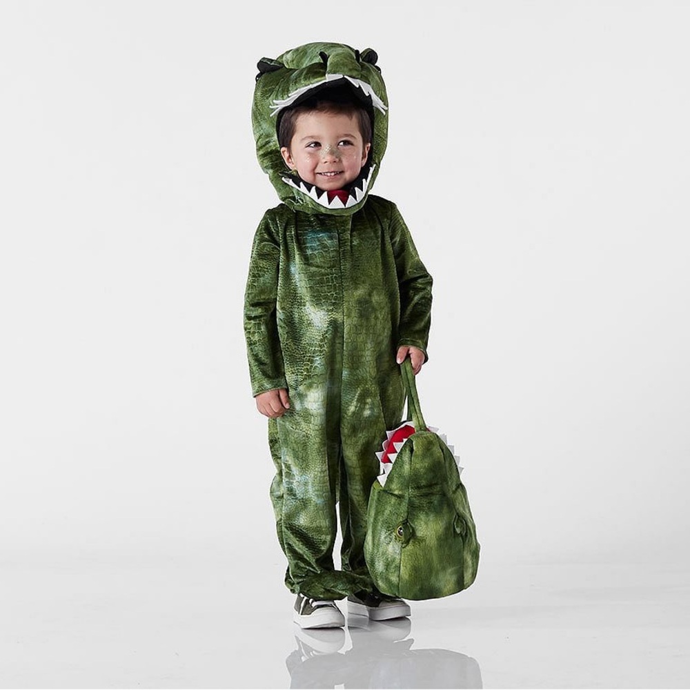 Pottery Barn Kids Trex Halloween Costume 2T